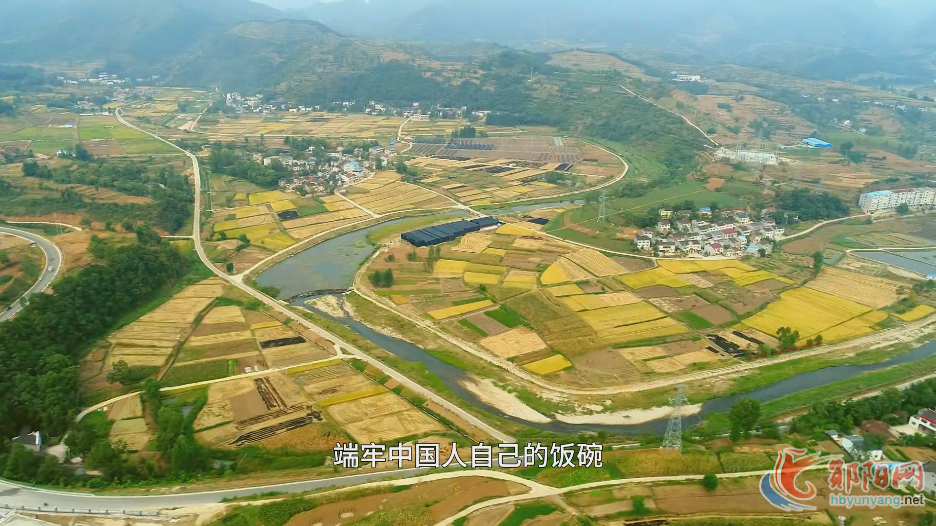 科技赋能 端稳“中国饭碗”