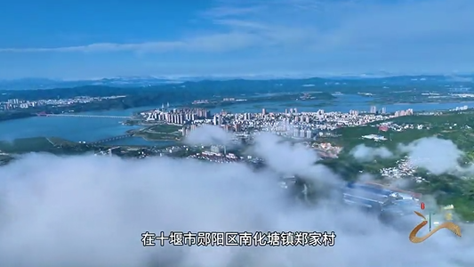 最美四“阅”天，读书正当时！推进全民阅读 建设书香郧阳