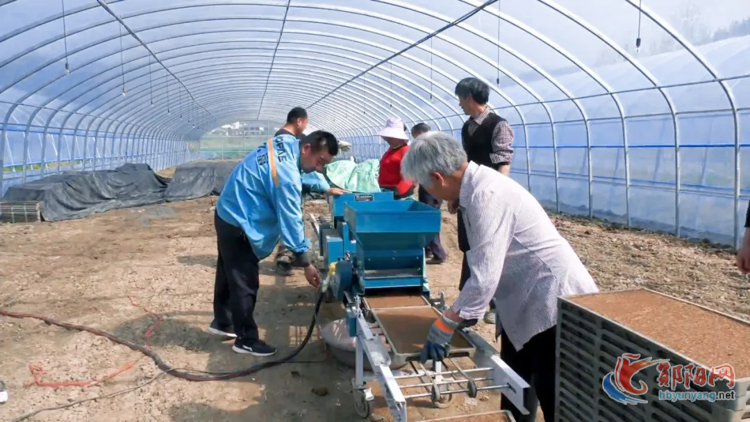 科技赋能春耕，郧阳特色产业齐发力