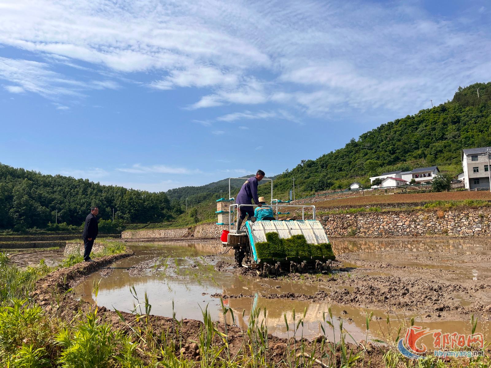 郧阳区农业机械服务中心：送技下乡 护航粮食丰产