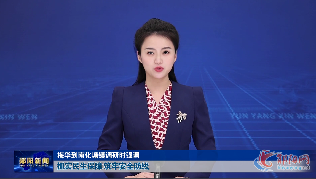 梅华到南化塘镇调研时强调 抓实民生保障 筑牢安全防线